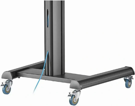 Cablexpert Kabel DisplayPort-Stecker - DisplayPort-Stecker 5m Schwarz (CC-DP8K-AOC-5M)