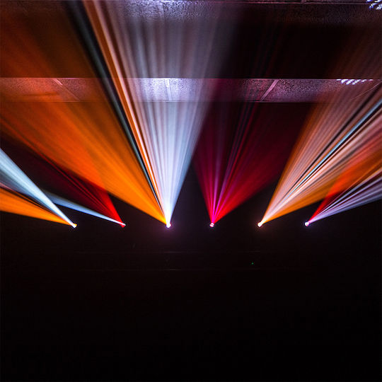 Evolite Spot LED