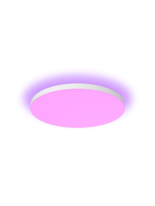 Philips Ceiling Mount Light White