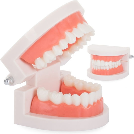 Consumabil Medical