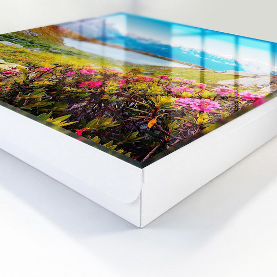 Tulup Κλειδοθήκη Τοίχου Μεταλλική 50 θέσεις 30x30x5cm