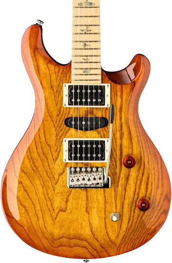 PRS Guitars Elektrische Gitarre