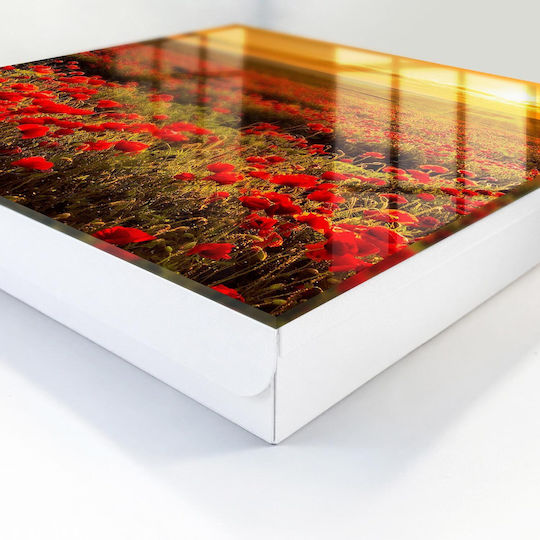 Tulup Κλειδοθήκη Τοίχου Μεταλλική 50 θέσεις 30x30x5cm