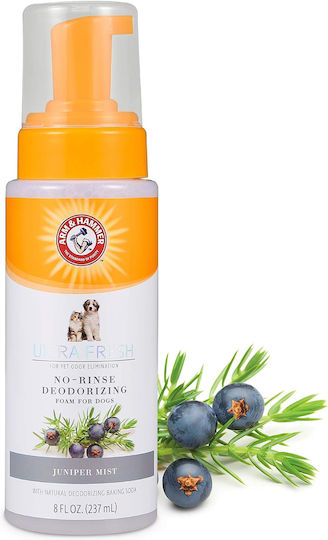 Σαμπουάν 2 1 Χωρίς Ξέβγαλμα Arm & Hammer Αφρός Χωρίς Ξέβγαλμα Σόδα Άρωμα Κέδρου 237 Ml