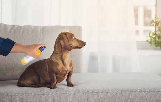 Spray Arm & Hammer Itch Relief Pentru Câini Și Pisici Împotriva Mâncărimii Cu Mușețel Și Ulei De Mentă 236 Ml
