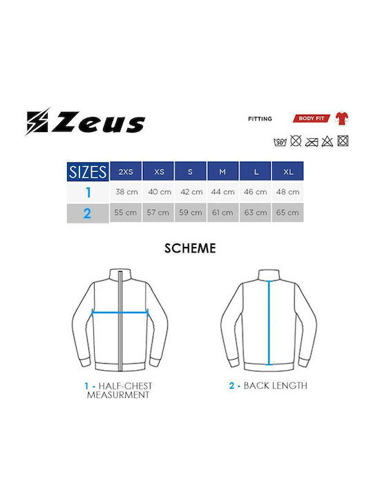 Zeus Fisiko Zeus Fisiko
