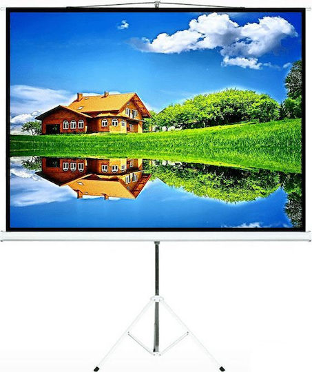 Tele MTS-100/4:3 200x150cm