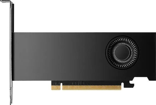 NVidia RTX 2000 Ada 16GB GDDR6 Placă Video