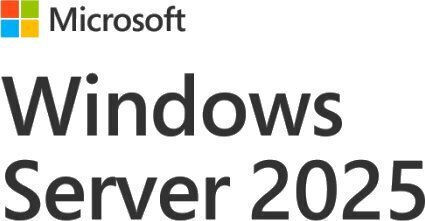 Microsoft Windows 2025 Standard Server 5 User Cals Multi-Language