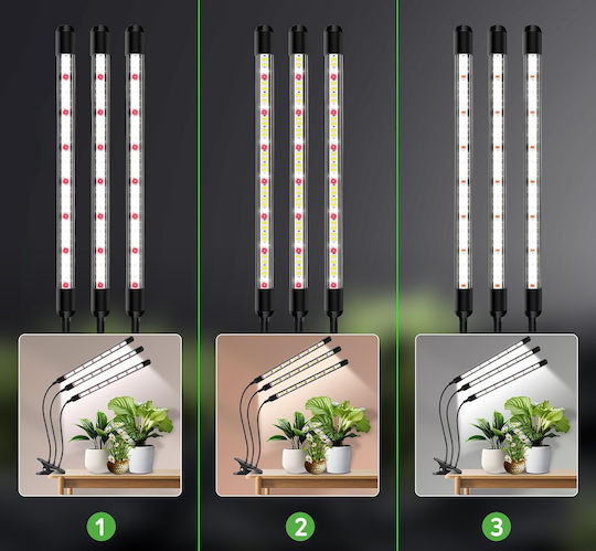 Wachstumslicht 6000K mit LED und Leistung 15W