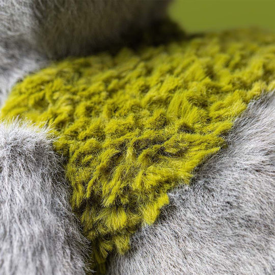 Jellycat Plüsch- und Kuscheltiere Rockleton-R3RMON Jack
