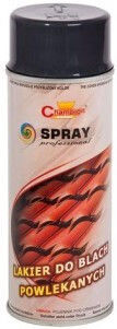 Champion Color Спрей Боядисване Висока Температура Кафяв 8019 400мл