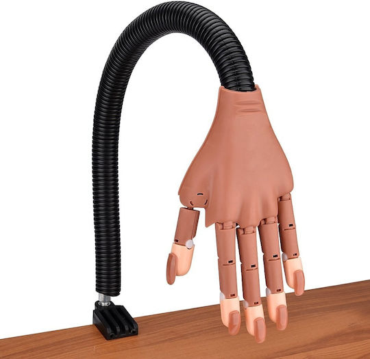 Educational Hand Aesthetics