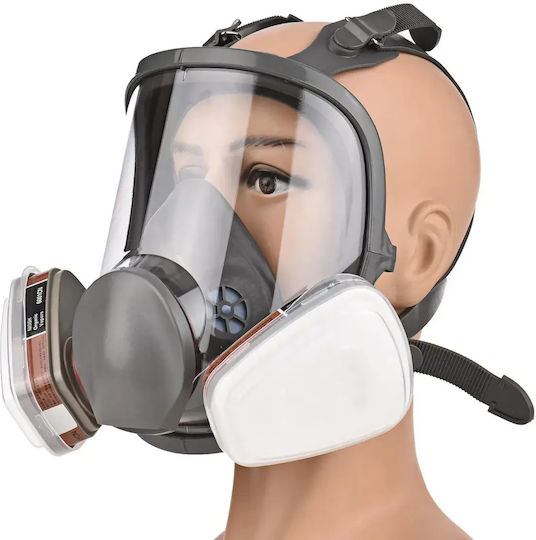 Mask Full Face