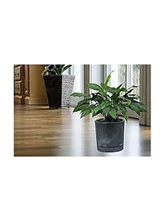 Iliadis Concrete Flower Pot 18x18x17cm