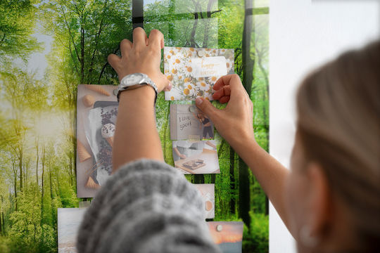 Magnetische Pinnwand Bäume des Waldes Natur Ein Magnet 120x60