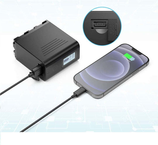 Sony Încărcător de Baterii Npf980, F960 F970 F750 F550