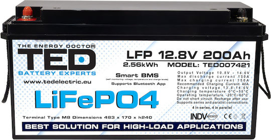 TED Electric TED007421 UPS Battery with Capacity 200Ah and Voltage 12.8V