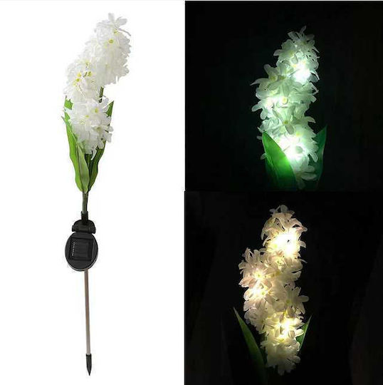 Set of 2 Stake Solar Lights IP65