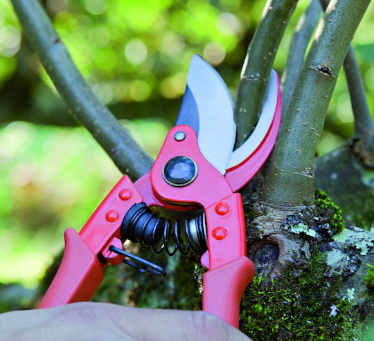 Altuna 0741-23 Pruning Shear Length 23cm with Maximum Cutting Diameter 25mm