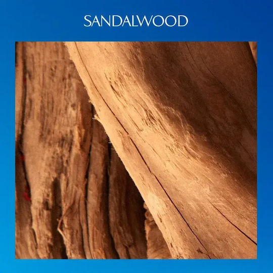Davidoff Eau de Parfum 50ml