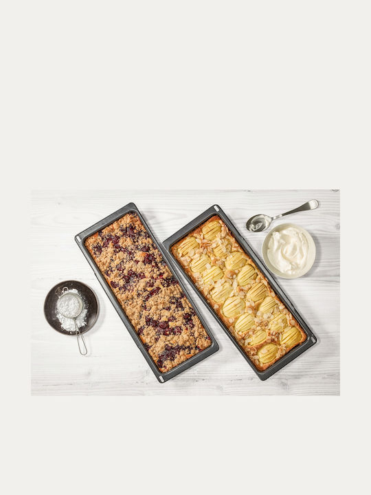 Bosch Slim Oven Aluminum Baking Pan with Enamel Interior Coating 43x47.5cm 2 Pieces