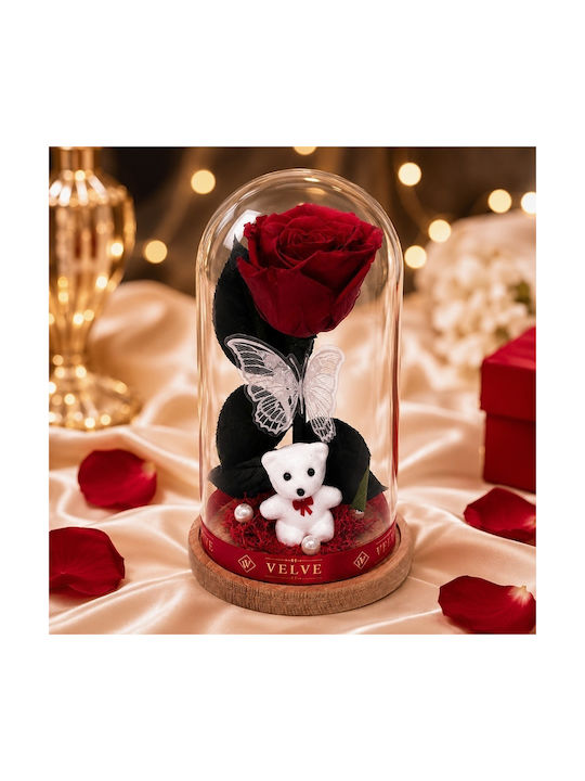Rote Getrocknete Rose In Glasdom Weißer Teddybär Schmetterling Perlen