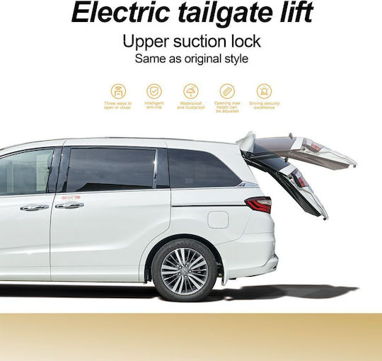 Digital Iq Electric Tailgate 6093 Ford Focus Mod 2012-2018