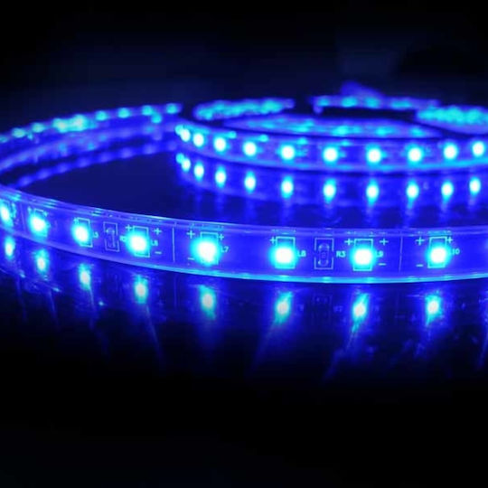Green Lyca LED Strip USB 5V Green Light 3m SMD5050 Type with Power Supply