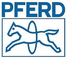 PFERD Tools Handfeilen Kunststoff mit Griff