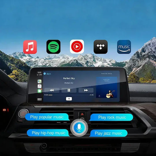 Digital Iq Bm 005w Cpaa Wireless Carplay Android Auto Box Bmw Mini Nbt System 2 Cameras Front Rear