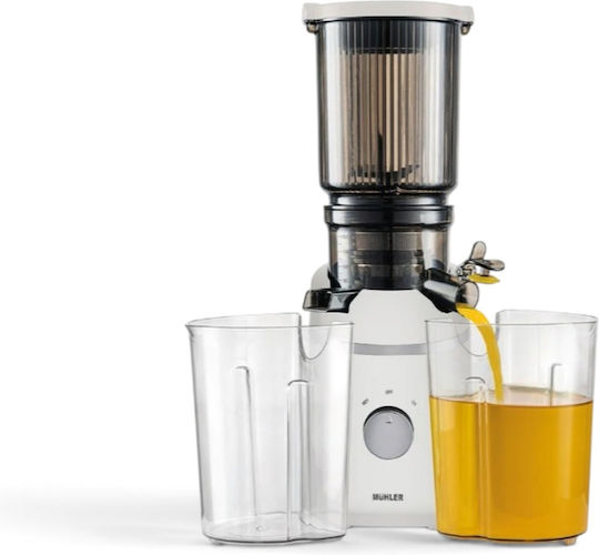 Keten Ltd Slow Compression Juicer 250W