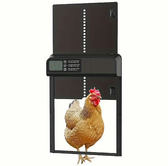 Ușă automată pentru coteț de găini 32x25cm