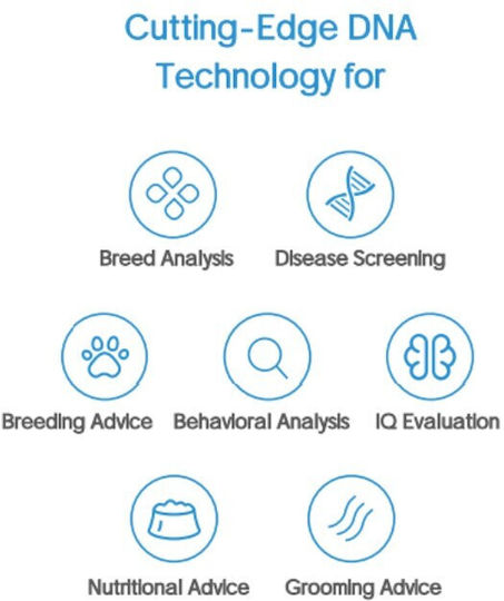 Total Dna – Pet Edition Cea Mai Detaliată Analiză Genetică Pentru Câinele Sau Pisica Dumneavoastră Origine Sănătate & Comportament