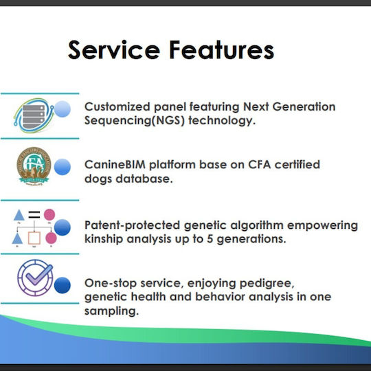 Total Dna – Pet Edition Cea Mai Detaliată Analiză Genetică Pentru Câinele Sau Pisica Dumneavoastră Origine Sănătate & Comportament