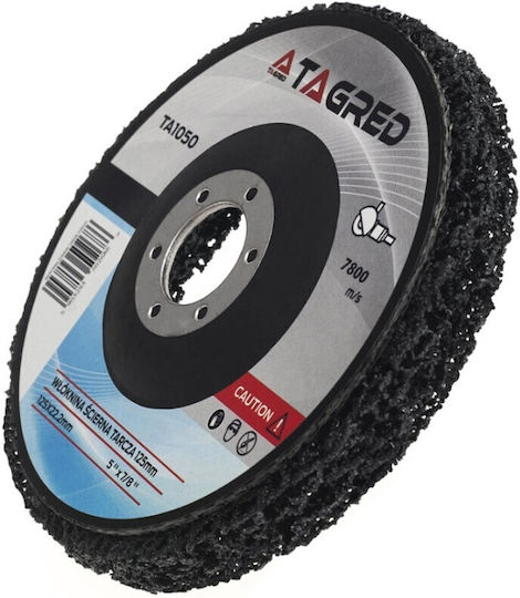 Abrasive Disc Tagred Ta1050 Sponge Stone 125x22 mm