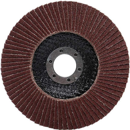 Ta1002 Circular Metal Grinding Disc 125mm/22.23mm P80 Tagred