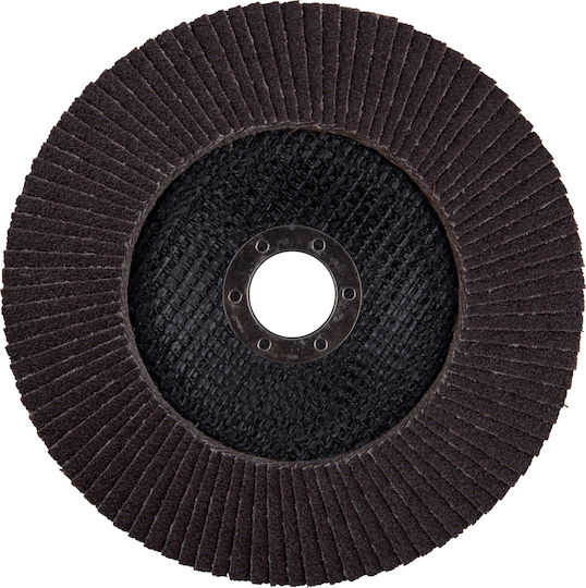 Disc De Șlefuire Corindon 150mm Extol Premium 8803483 P60 Max 10 200/min
