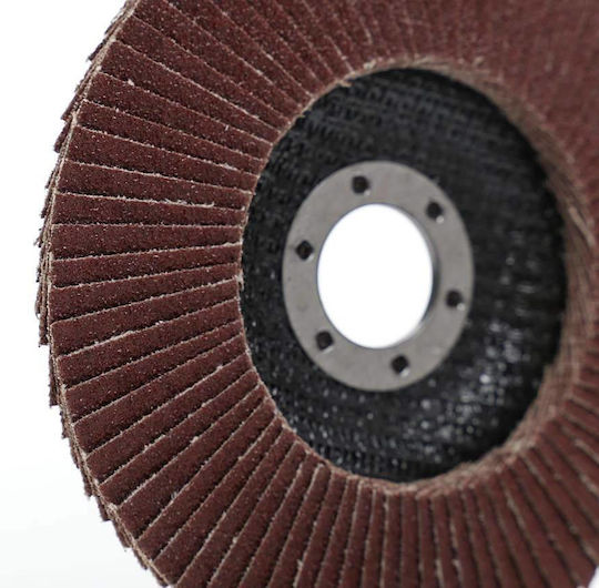 Ta1002 Circular Metal Grinding Disc 125mm/22.23mm P80 Tagred
