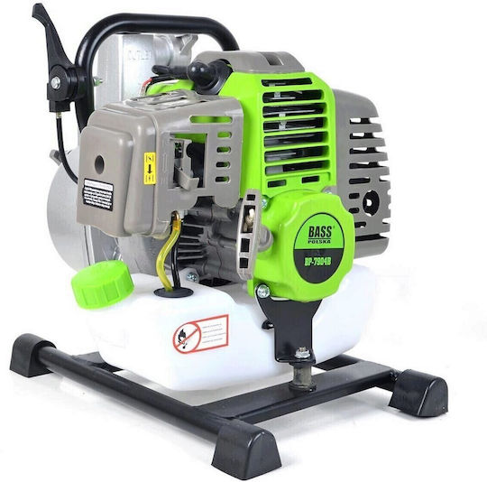 Bass Polska Pompa de apă de suprafață electrică 1.7hp