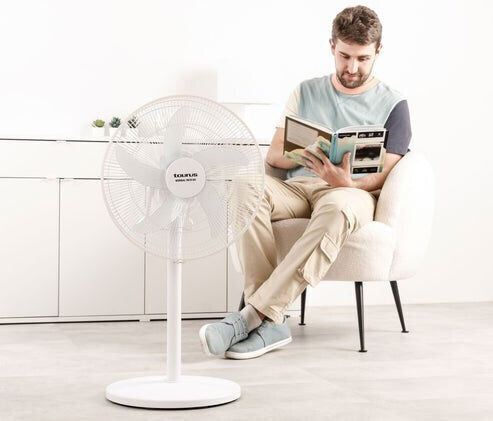 Freestanding Fan Taurus