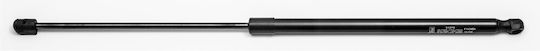 Fa Krosno Trunk Shock for Ford Focus III Hatchback 1τμχ