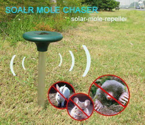 Ultraschallabwehrgerät Nagetiere Solar