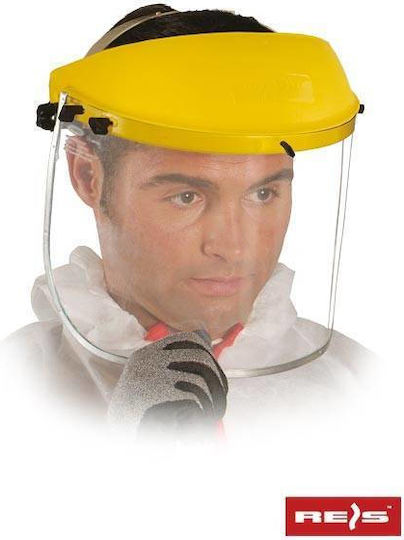 JSP Vizieră de Protecție