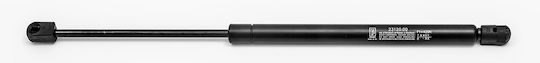 Fa Krosno Kofferraum-Schock für Citroen C3 Nissan Micra 2002-2009