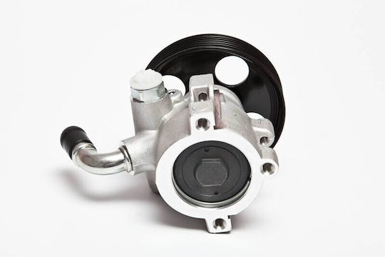 Power Steering System Pump Peugeot 306 1.9 D 4007w2 4007w2