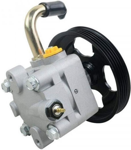 Power Steering Pump Suzuki Grand Vitara Ii 2.0 4910065j00