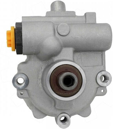 Pompa De Servodirecție Dacia Duster 491105510r