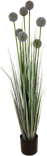 Grass Plant Allium Potted Plastic 140cm