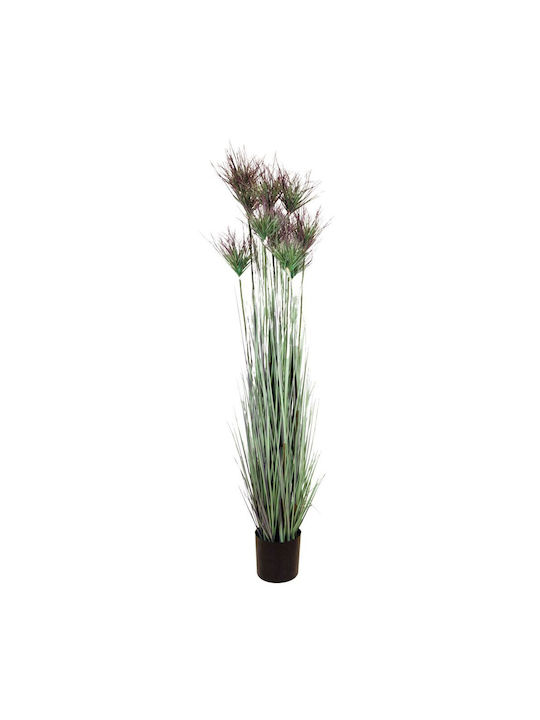 Plantă Iarbă Ghiveci Plastic 183 cm